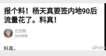 娱乐爆料流量是真的吗,流量背后的真相，是真是假？