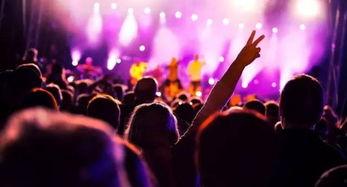 长春音乐节爆料视频在哪看,一网打尽精彩瞬间 第3张 长春音乐节爆料视频在哪看,一网打尽精彩瞬间 第3张