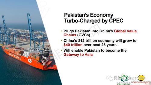 国际最新爆料,全球局势风云再起  第1张